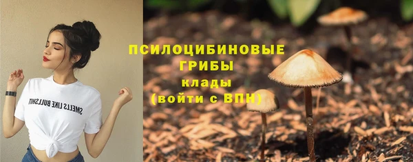 не бодяженный Медногорск