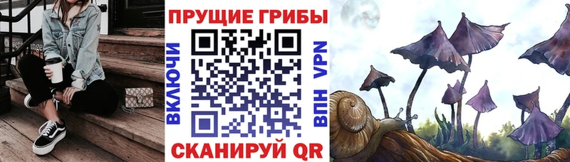 Галлюциногенные грибы MAGIC MUSHROOMS  как найти   Можайск 