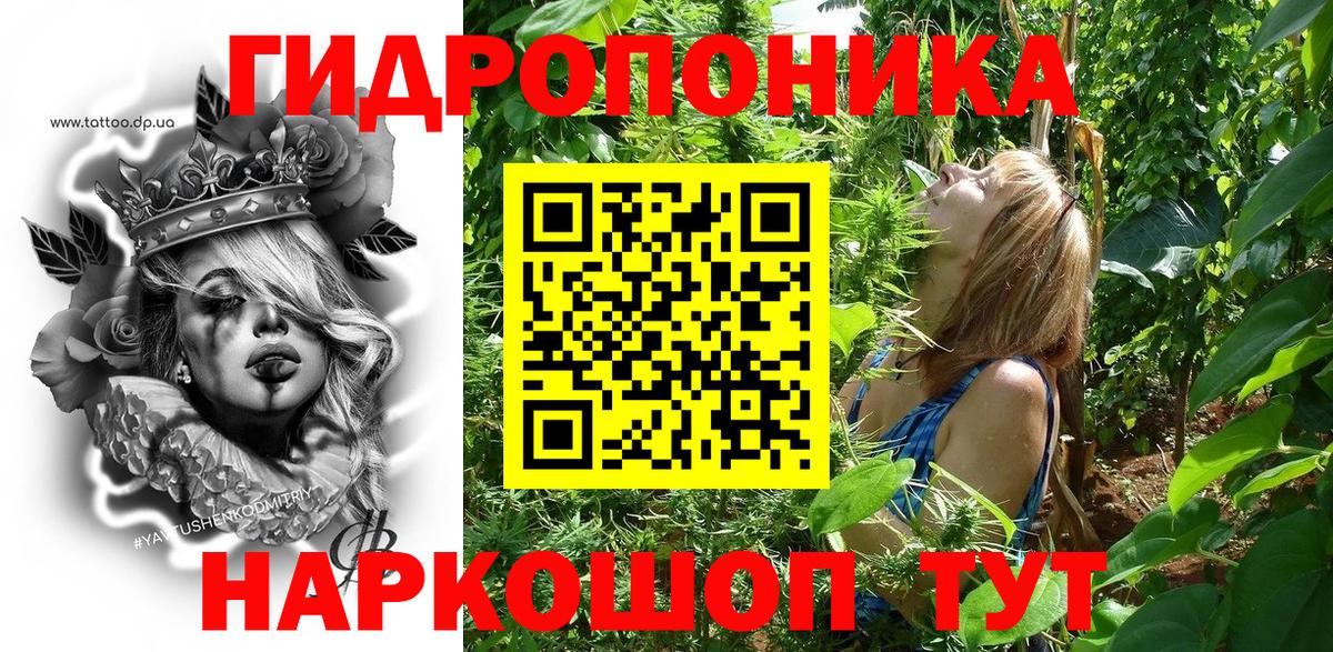 Канабис сатива Можайск